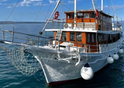 280882205_1257743748087952_2307187971821515154_n - kopie